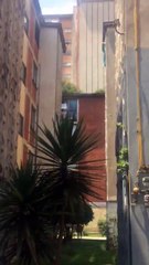 TERROR EN LA CIUDAD DE MÉXICO