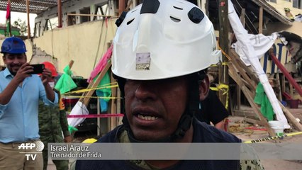 Frida, a cachorrinha que virou heroína no México