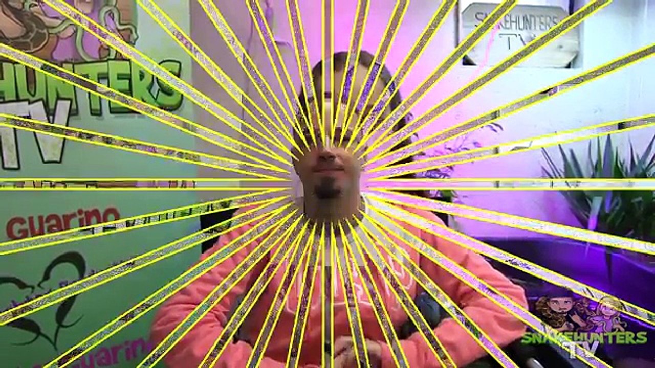 Snakes Are Taking Over! new Finale (SnakeHuntersTV)