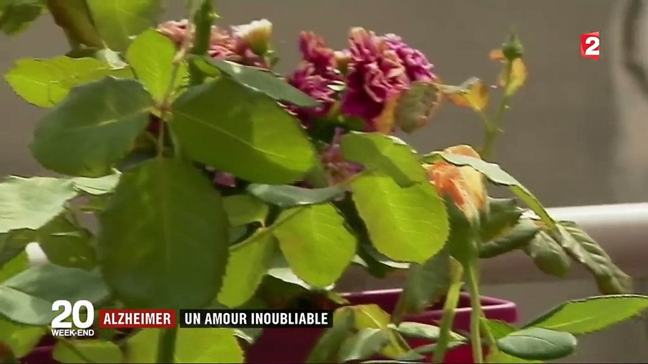 "Ne t'en fais pas. On a encore tout plein de temps ensemble" : Michèle et Jean, un couple uni face à la maladie d'Alzheimer