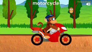 Cars for Kids Transportation Sounds - Learning Videos Names and Sounds of Vehicles