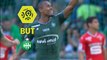 But Gabriel SILVA (45ème +2) / AS Saint-Etienne - Stade Rennais FC - (2-2) - (ASSE-SRFC) / 2017-18