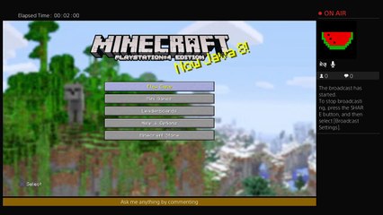 Playing Minecraft PlayStation 4 EDITION (26)