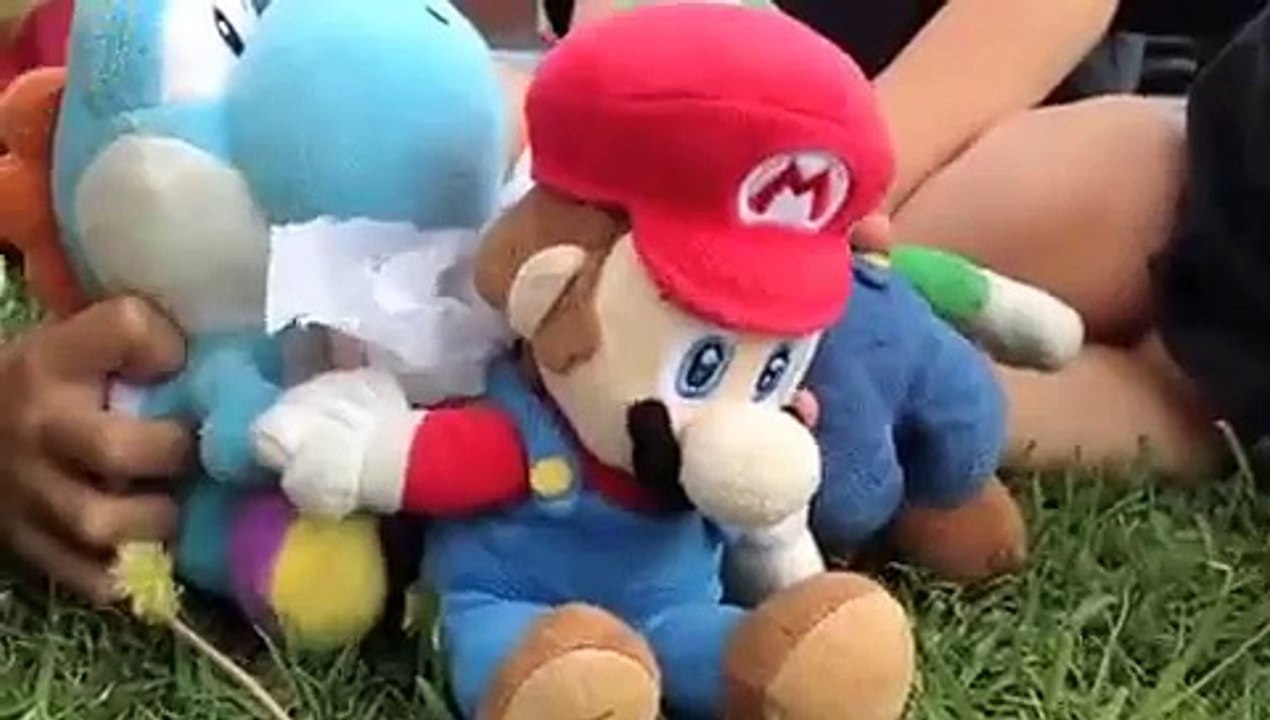 Mario Bros y sus Amigos y el Picnic Horroroso