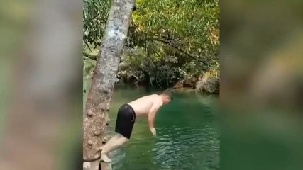 Il plonge dans une rivière mais il n'est pas seul dans l'eau.