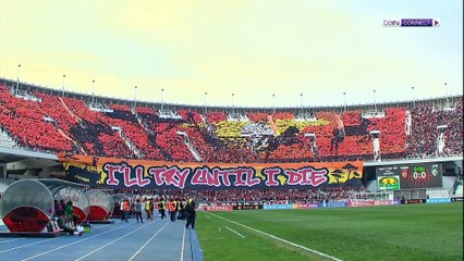 نصف نهائي دوري أبطال أفريقيا سيكون عربيـّاً خالصاً