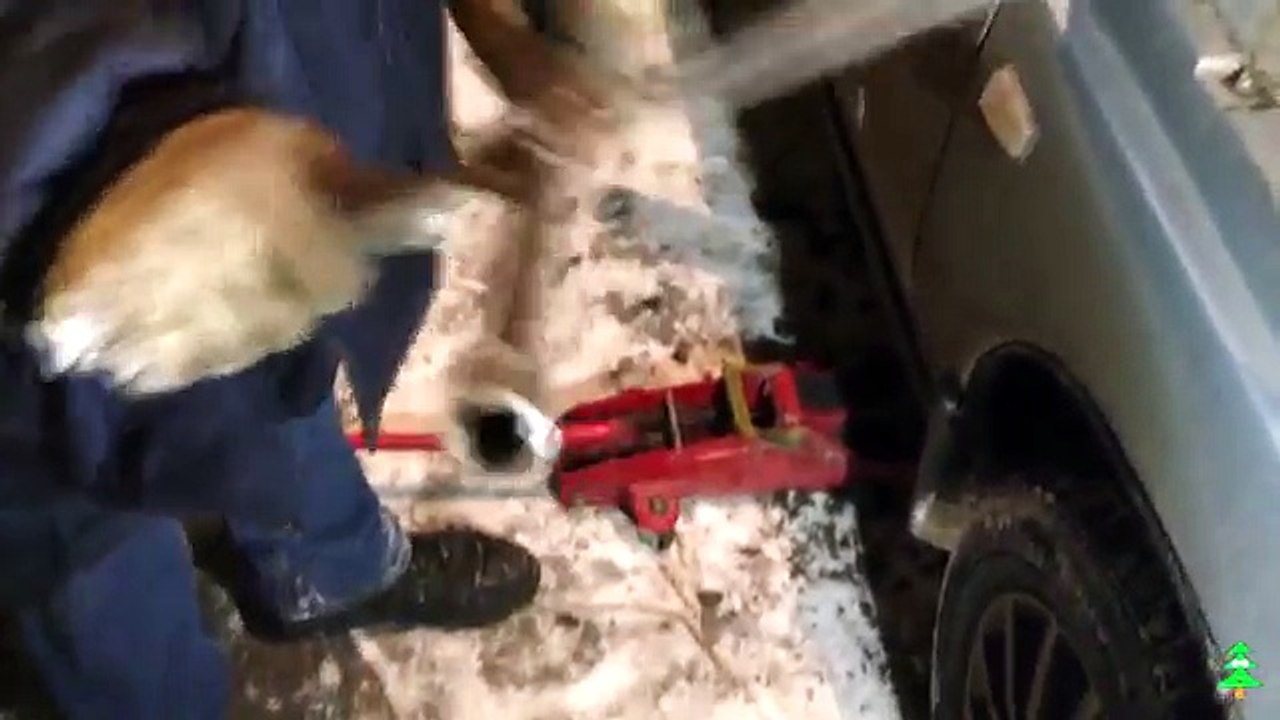 Замена ГРМ и Помпы ВАЗ