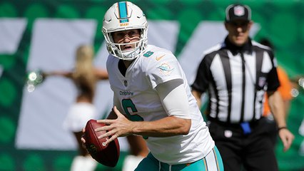 Jay Cutler connects with DeVante Parker for 26 yards
