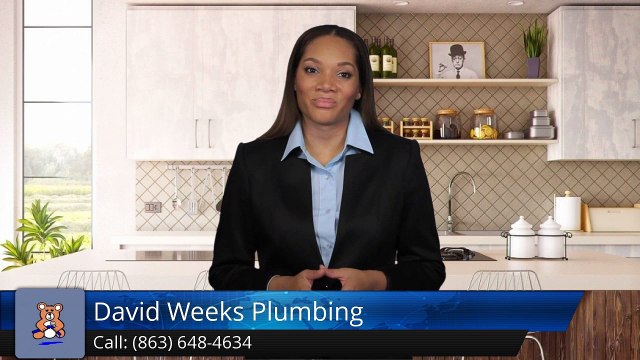 David Weeks Plumbing Lakeland Terrific Five Star Review by Lena Chambers