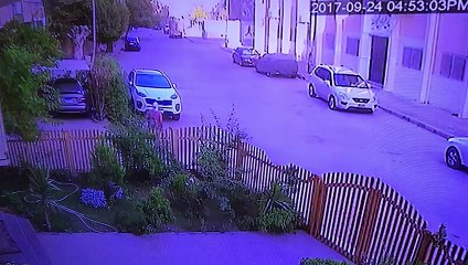 لصوص يسرقون شابًا فى السويس بالإكراه بوسط المدينة