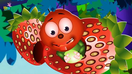 The Very Hungry Caterpillar | Animated Stories For Children | English Subtitles | By TinyDreams Kids