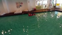 KAKA İLE YÜZMEK, Su hotel havuzda yeni oyuncak ile eğlendik, çocuk videosu