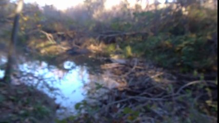 Can the iPhone 6S Survive a Sodium Explosion