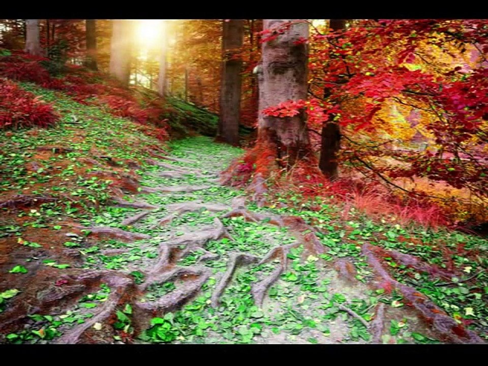 Airborne - Autumn Love - SDC RadioWorks