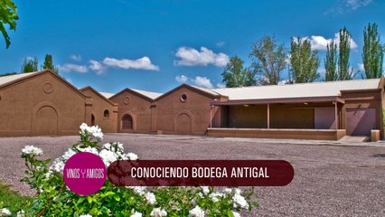 Vinos y Amigos Programa 173 Bloque 1