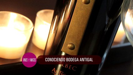 Vinos y Amigos Programa 173 Bloque 2