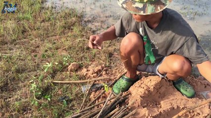 Amazing Man Use Small Tree To Make Fish Trap