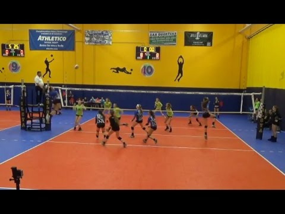 Aliyah Carter | Adrenaline Volleyball Academy