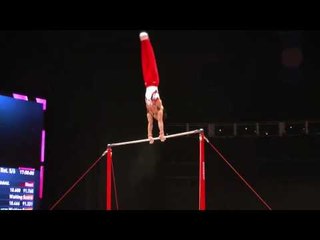 Kohei Uchimura - High Bar - 2015 World Championships