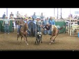 Tyler Waguespack Day 1 at Duvall's Steer Wrestling Jackpot
