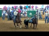 Top 5 Moments from Duvall's Steer Wrestling Jackpot