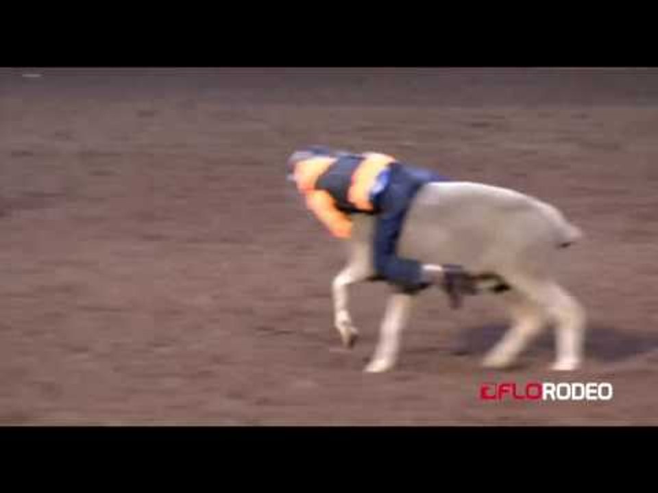 Mutton Busting 88 at Pike's Peak or Bust Rodeo