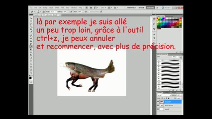 TUTO - Comment créer un cheval saumon sur Photoshop