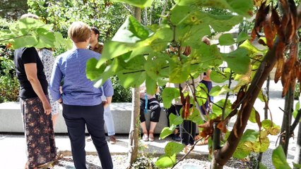 Prix PEPS 2017 - Soutien à la pédagogie