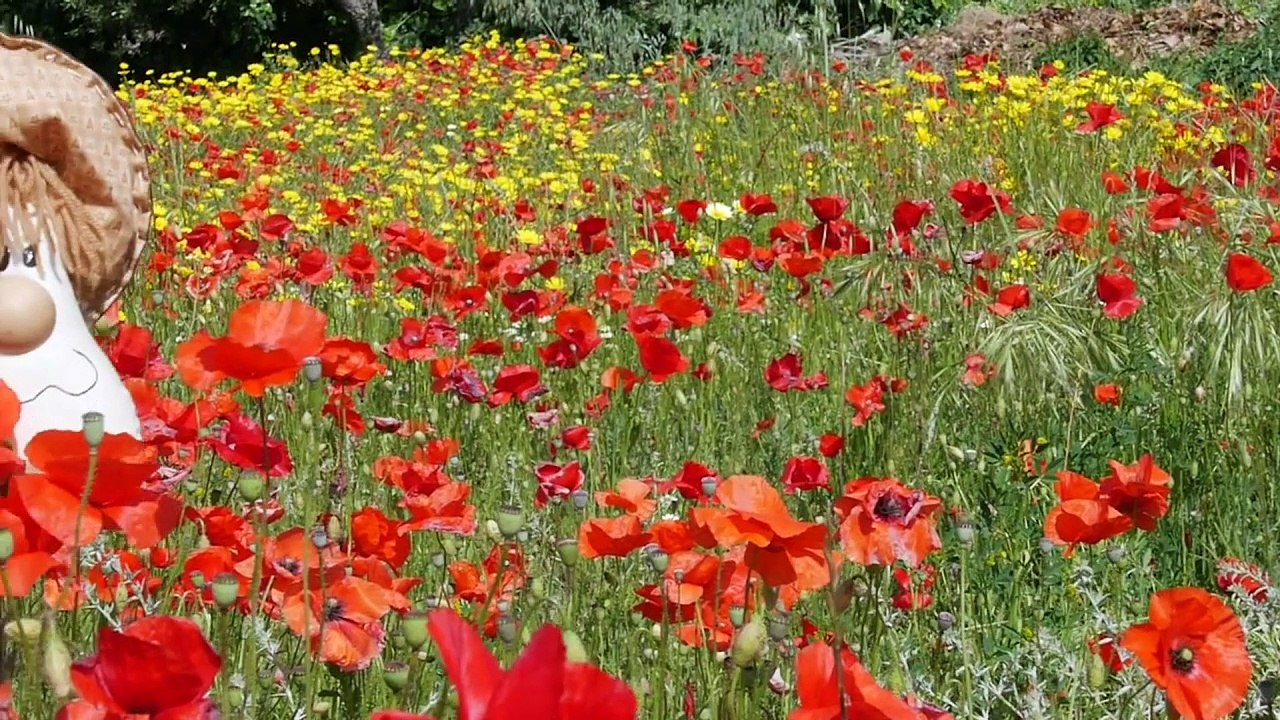 itw elisabeths Tessier