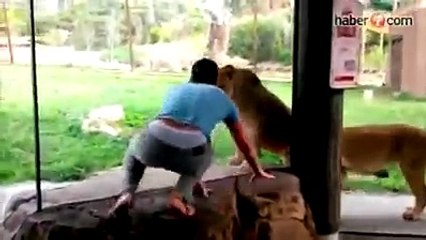 Hayvan ile hayvan olabilen çılgın adam