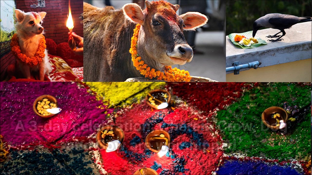 Nepal's Biggest Festival Season Arrives | NepaliSansar