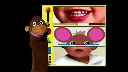 Baby Einstein- Baby DaVinci- Part 1