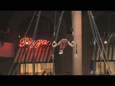 Sho Nakamori - Still Rings - 2009 Winter Cup Finals