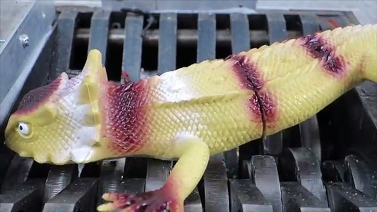 Shredding Big Lizards! Whats Inside Squishy Lizards??