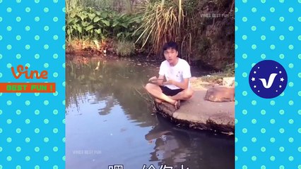 Funny Videos 2017 ● People doing stupid things P6