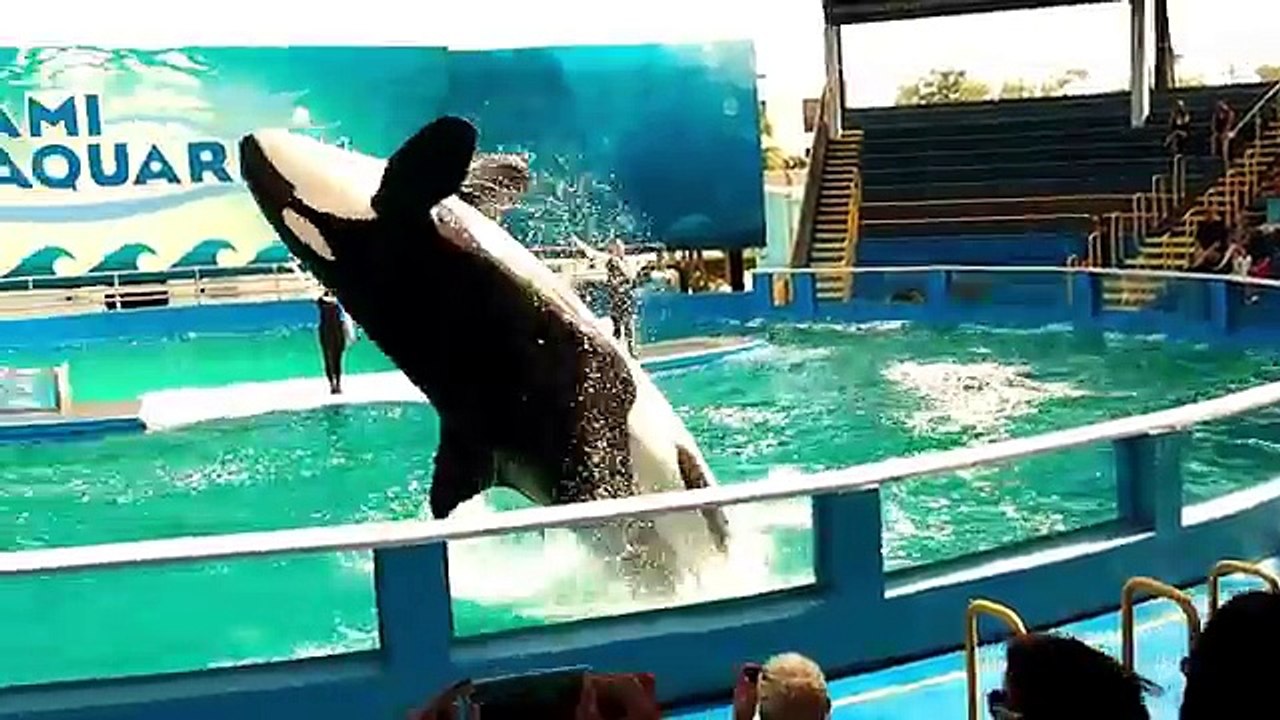 НАШ ЭКСТРЕМАЛЬНЫЙ ЙОГА ЧЕЛЛЕНДЖ ! ВЫЗОВ КАНАЛУ NIKATON !