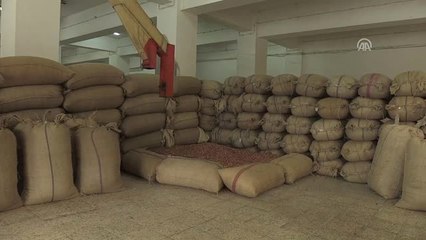 Fiskobirlik'in "Amiral Gemisi" Büyümesini Sürdürüyor