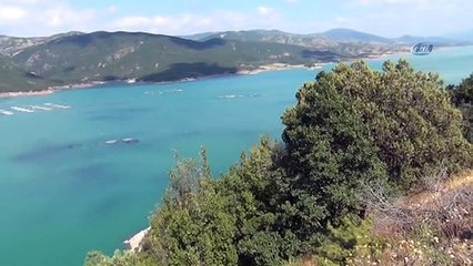 Tokat'ta Yılda 5 Bin Ton Balık Üretiliyor