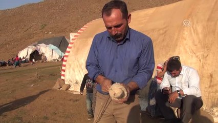 Göçerlerin Asırlık Eğlencesi "Koç Kavgası ve Gog"