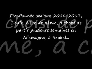 Collège Robert Le Frison Allemand vidéo Elodie.
