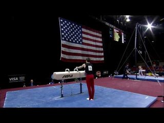 Morgan Hamm - Pommel Horse - 2008 Visa Championships - Men - Day 2