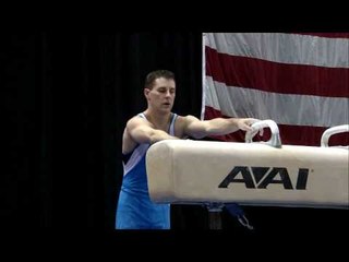 Joseph Hagerty - Pommel Horse - 2008 Visa Championships - Men - Day 2