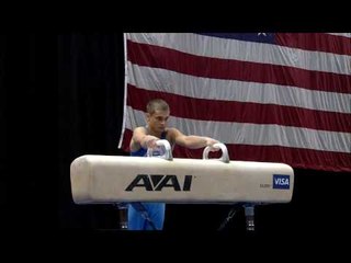 Alexander Artemev - Pommel Horse - 2008 Visa Championships - Men - Day 2