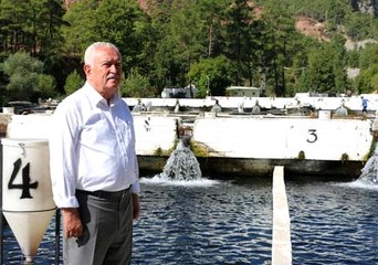 İşçi Olarak Çalıştığı Avrupa Ülkelerine, Şimdi Milyonlarca Euroluk Balık İhraç Ediyor