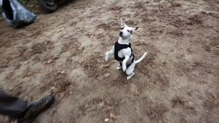 Dört Köşe - Fragman