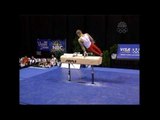 Brett McClure - Pommel Horse - 2004 U.S. Gymnastics Championships - Men