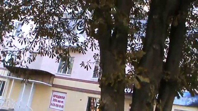 Мужик Геннадий Горин снимает видео про каштаны, город Орёл