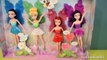 Fairy Barie Dolls - Disney TinkerBell Fairy Dolls Sparkle Blossom Collections