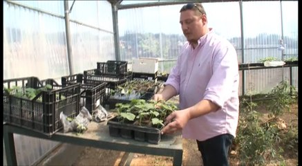 Προγράμματα για τους απόφοιτους των ΕΠΑΛ