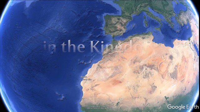 Des scientifiques ont eu la chance de filmer des chatons des sables pour la toute première fois